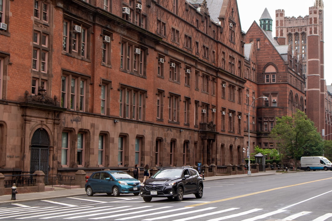 Programy detoksykacyjne